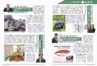241号P12-13
